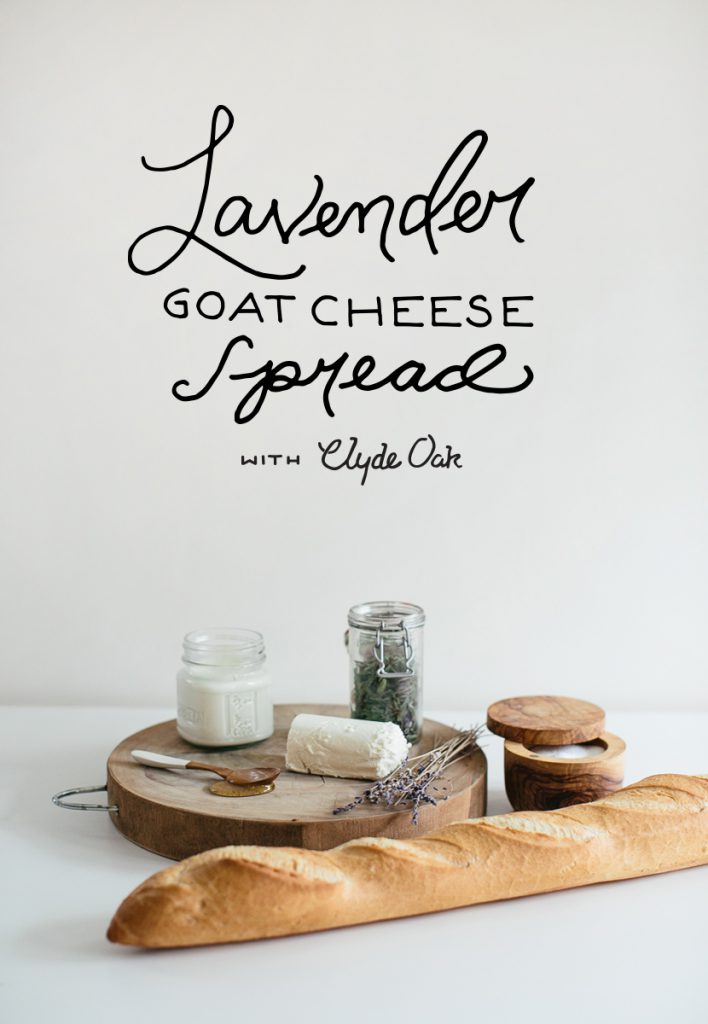 Lavender_Spread_Clyde_Oak